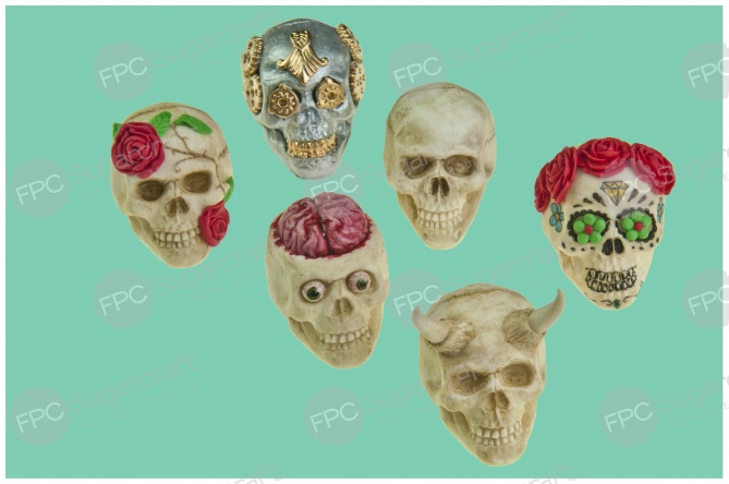 Znalezione obrazy dla zapytania fpc skull